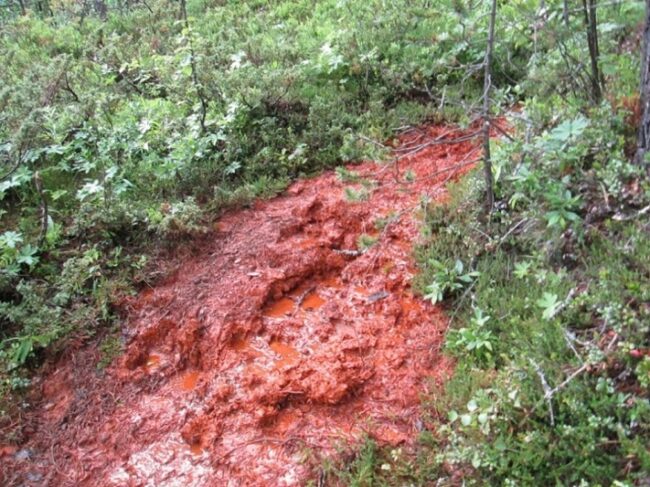Fortellinger Om Geologi Og Gruvedrift Jern Og Myrmalm Geo365