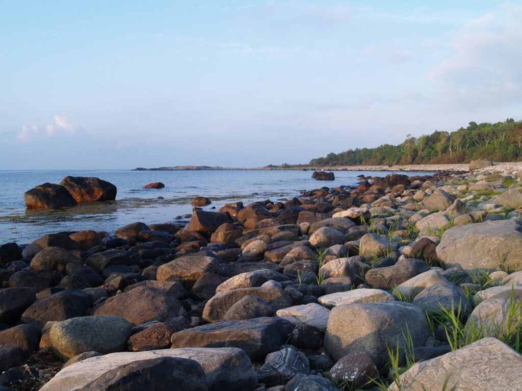 Raet – et tidsvitne